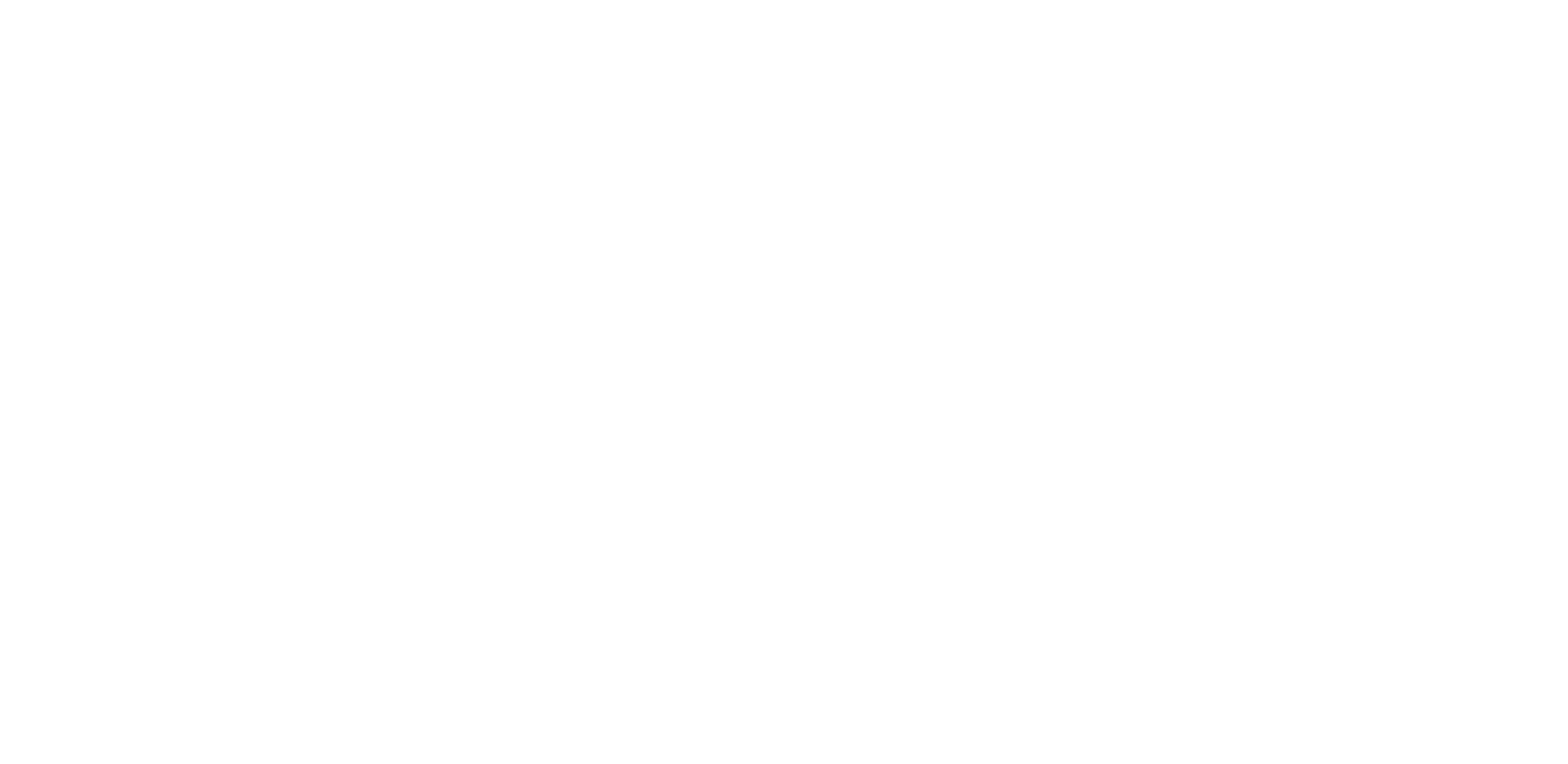 25years Stern Logo White Full